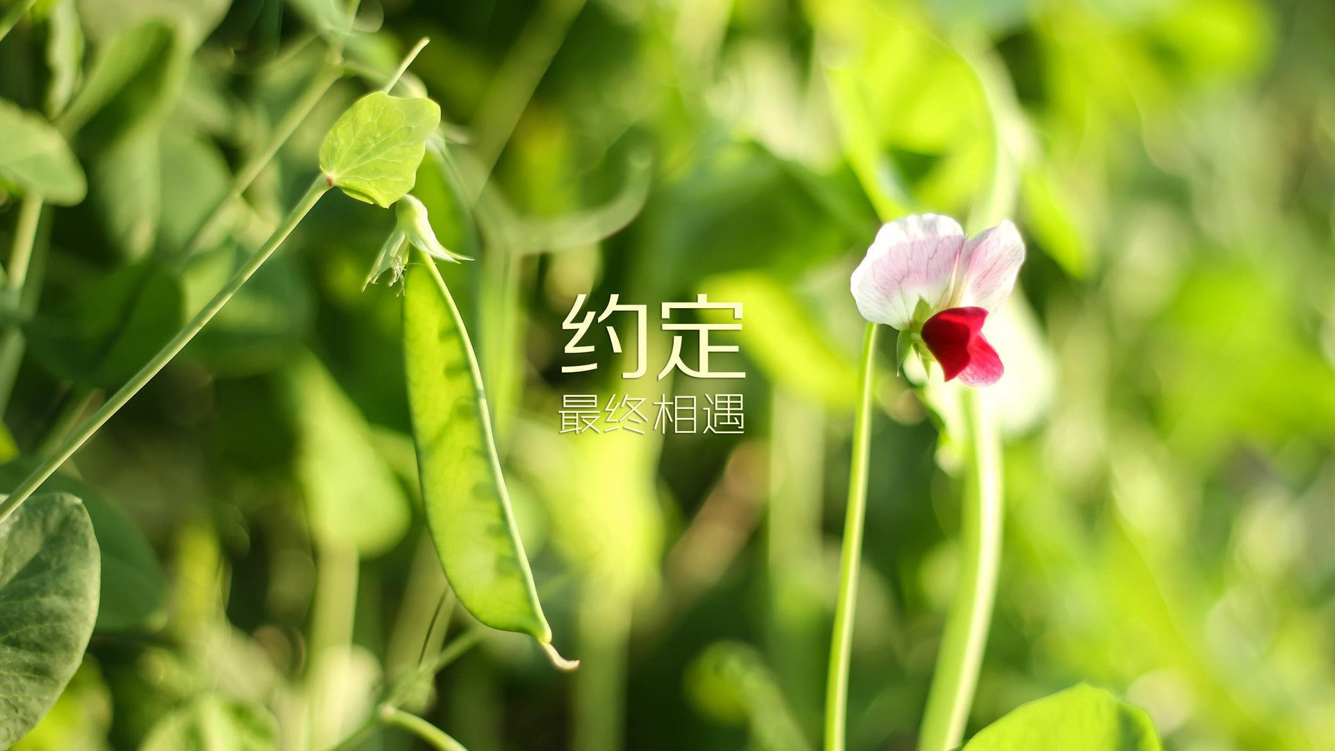 九游电脑版-星空下的极限徒步，挑战黑暗中的自然奇观，星空下的露营绘本