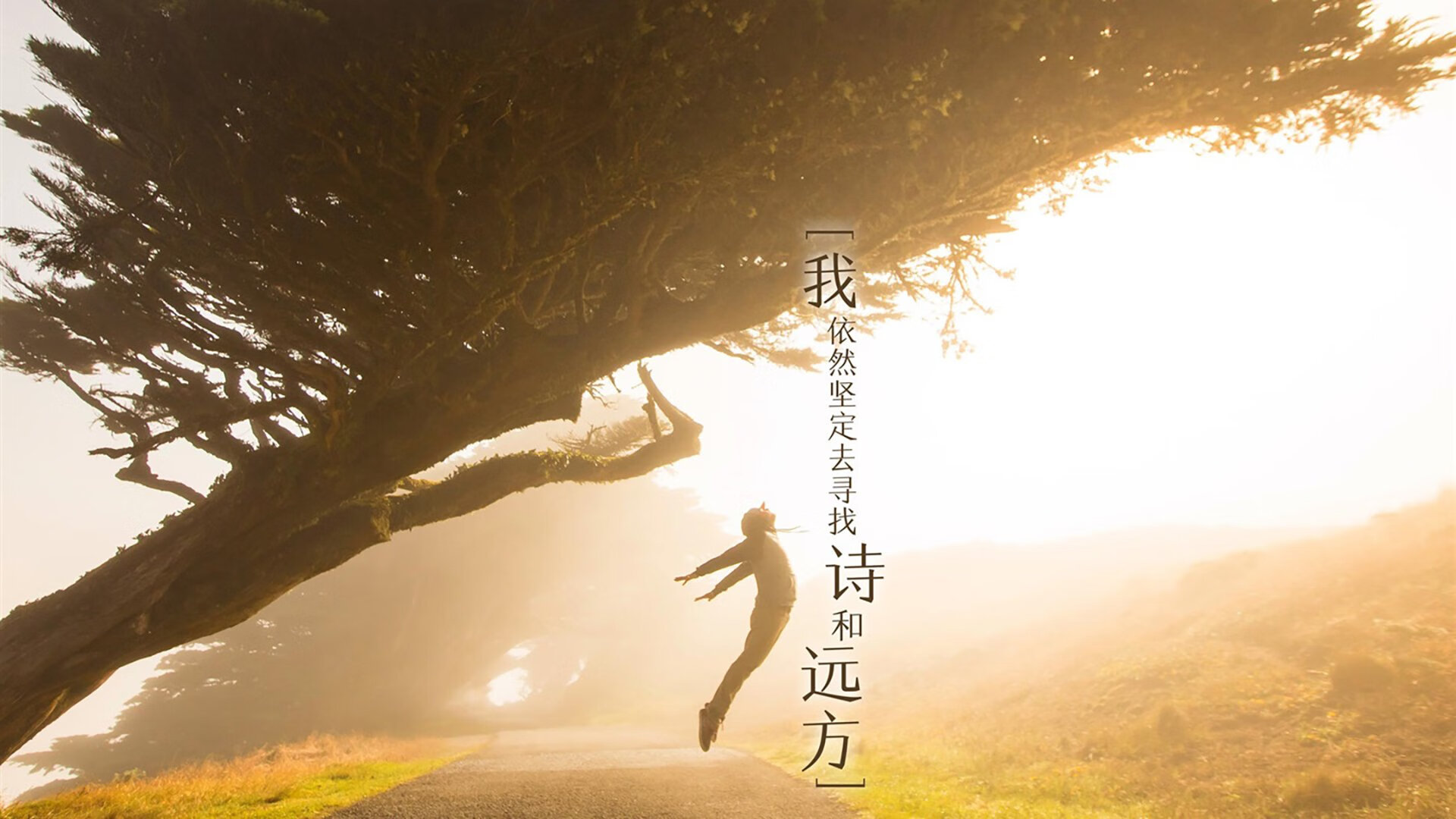 切沃主场告捷，保住降级区外位置，切沃对莱切