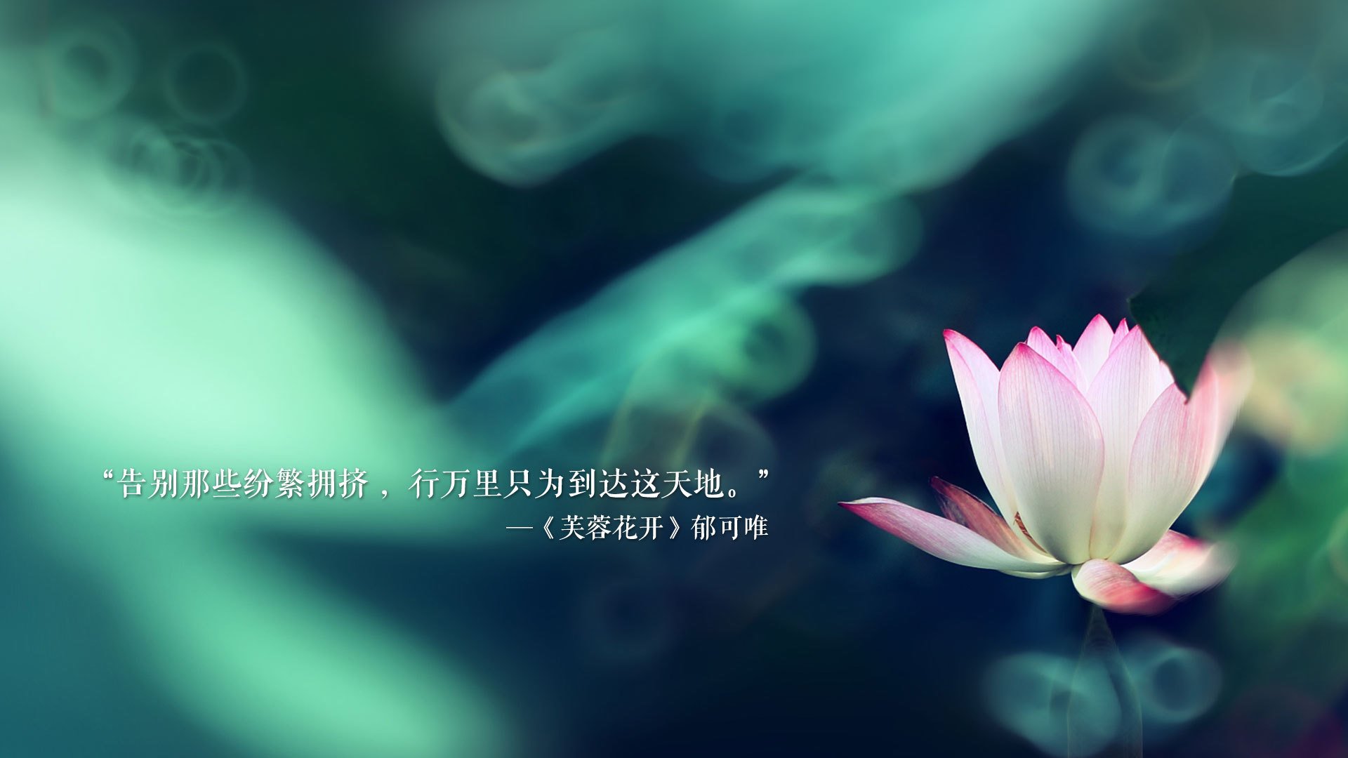 快船三连胜乔治状态持续高光，快船送出乔治