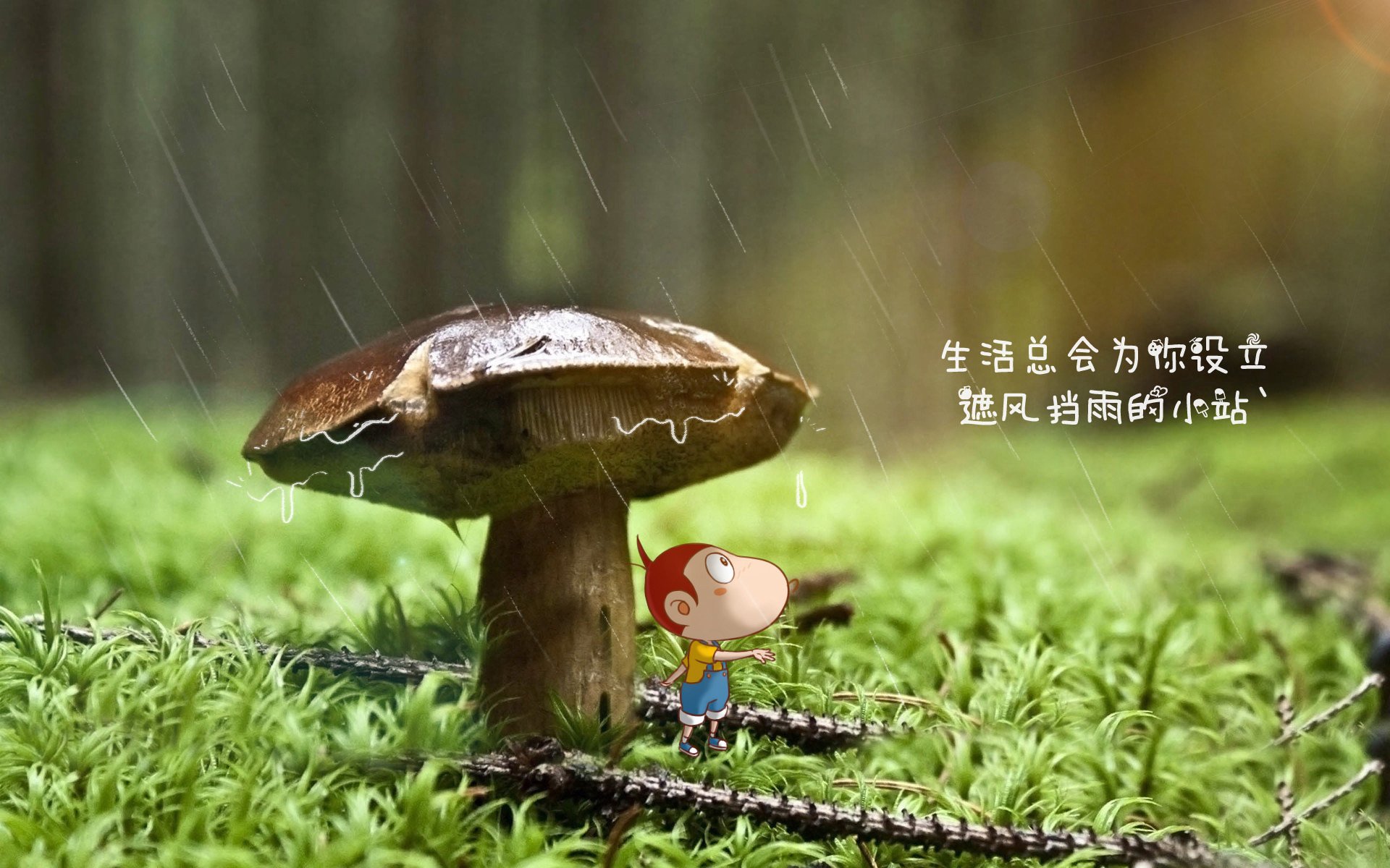 九游app官网下载-浙江稠州加强防守，力求季后赛突破，浙江稠州队
