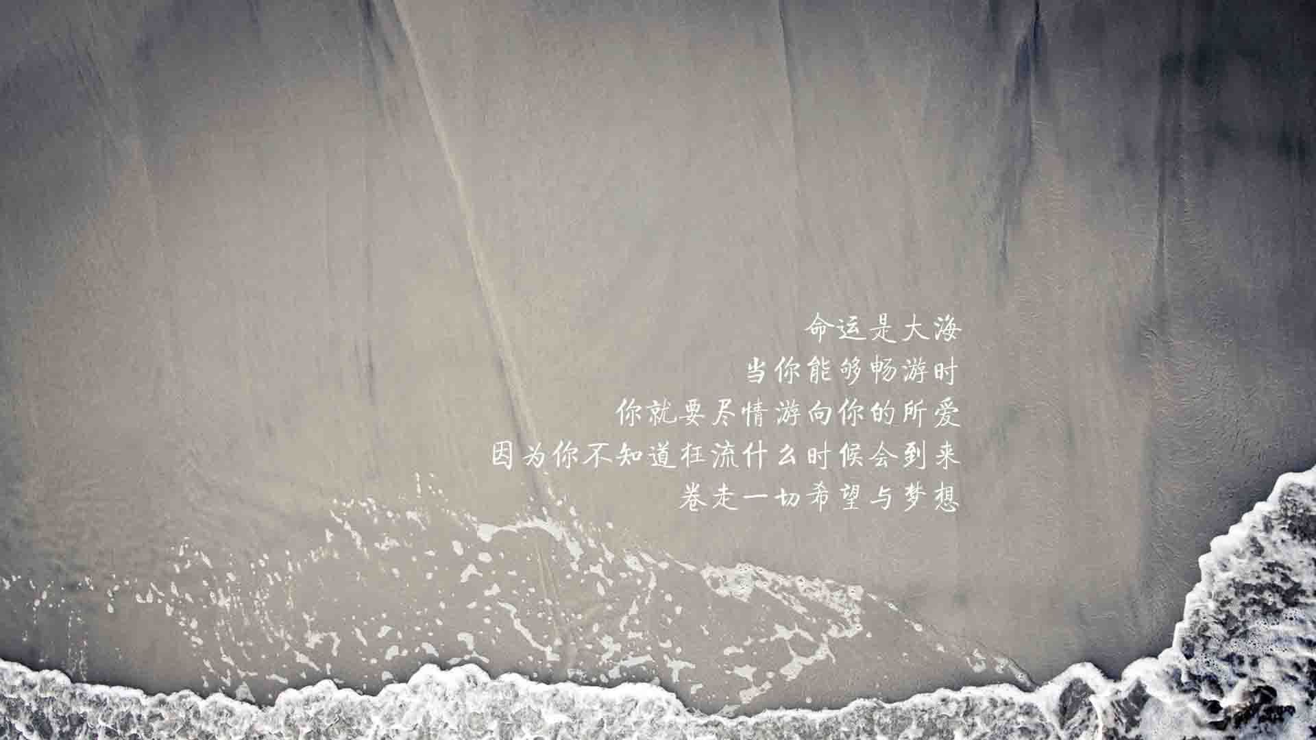 九游app官网下载-瑞士马术协会举办“Schwingfest”文化交流活动，促进传统文化传承。