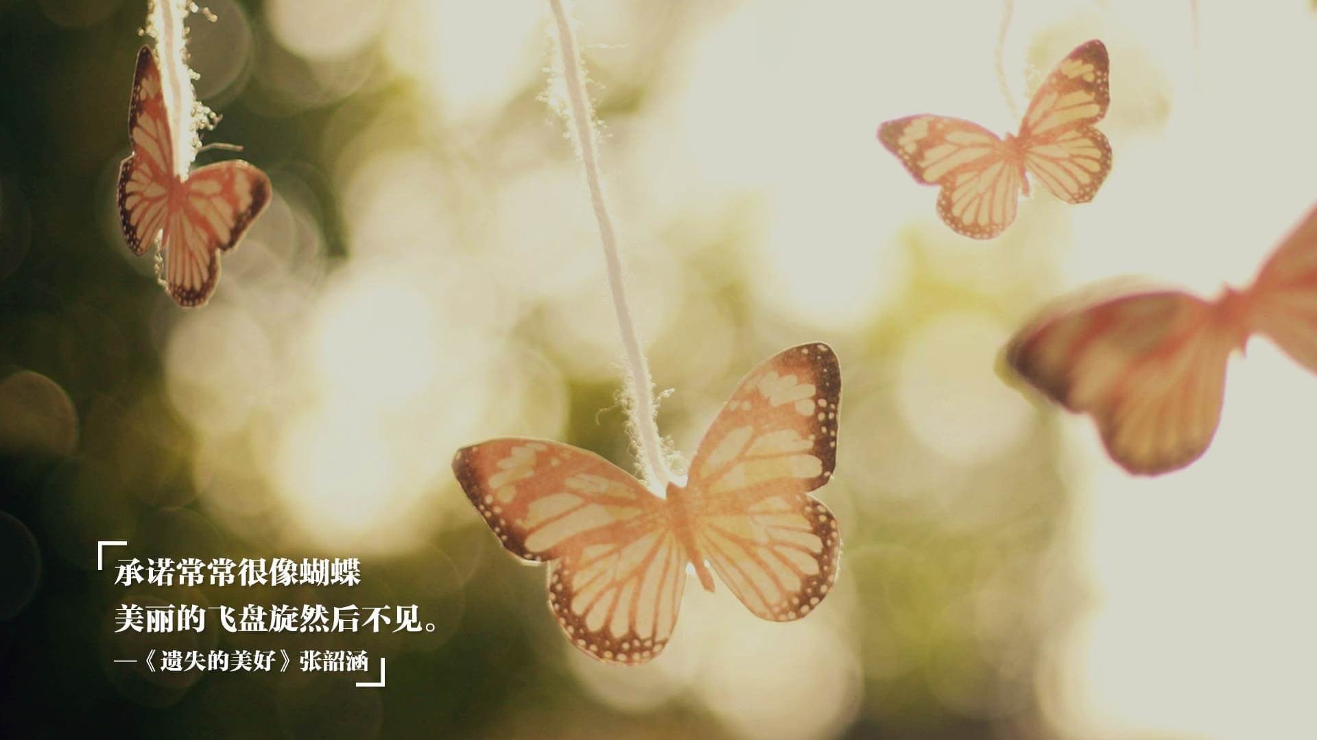 科洛·穆瓦尼加盟拜仁慕尼黑，科瓦奇穆勒