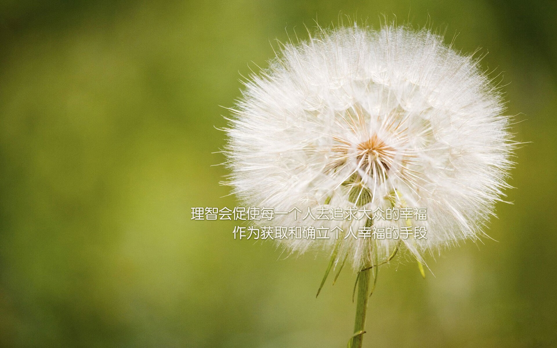 九游娱乐-美因茨球队客场战胜对手，积分榜上升，美因茨球队近况