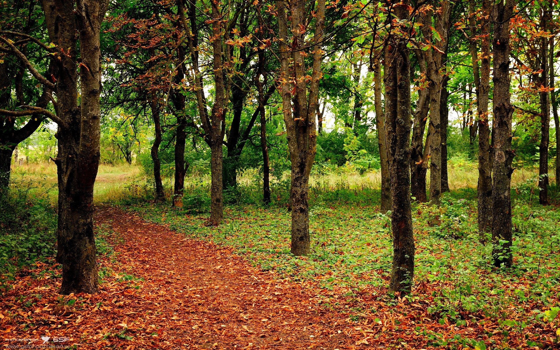 九游娱乐-俱乐部财政年度报告显示收入创新高，俱乐部财政年度报告显示收入创新高什么意思