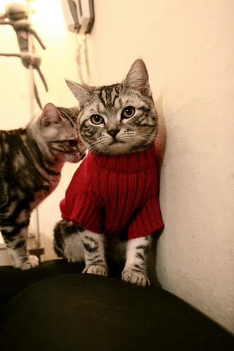 篮网调整防守策略有效限制对手投篮,篮网队防守